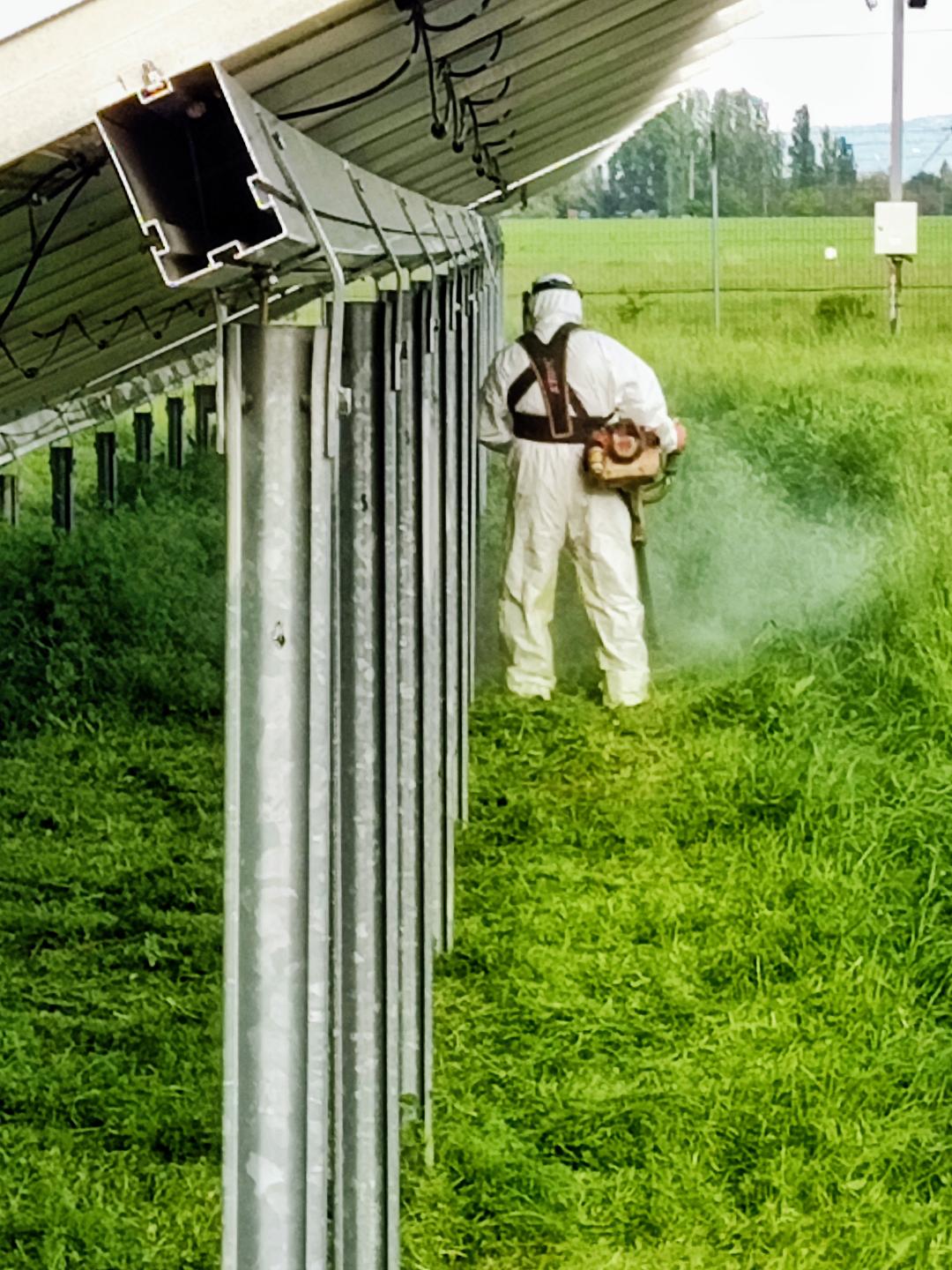 Cosire parc solar
